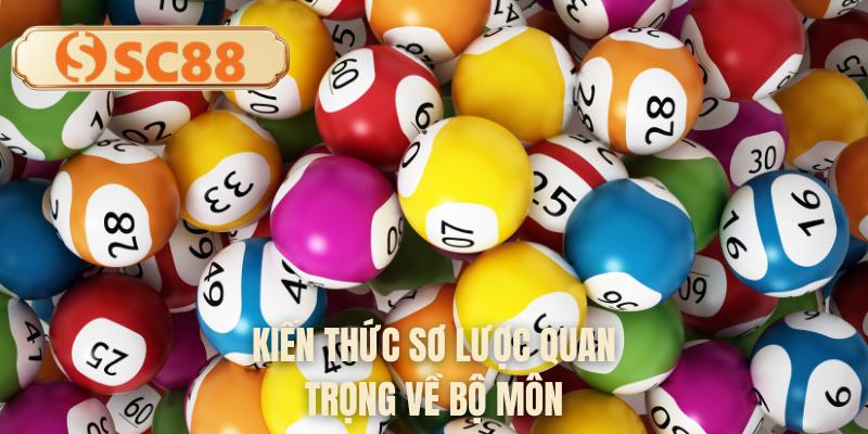 Kiến thức sơ lược quan trọng về bộ môn